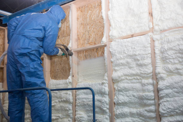 Best Crawl Space Insulation  in Warrensburg, IL